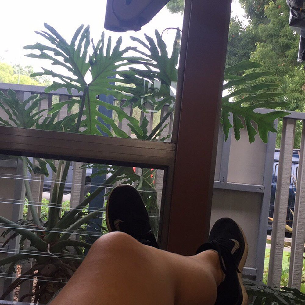 San Jose Endodontics - You even get a cute view - Endodontists Near Me - San Jose, California