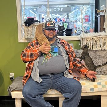 The Chatty Cat Cafe - Kitty magnet - Themed Cafes Near Me - Zanesville, Ohio