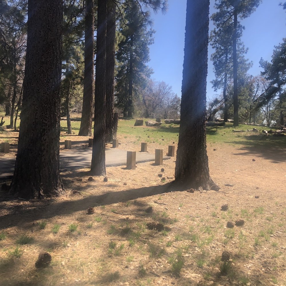 Mount Laguna Campground - Campgrounds Near Me - Mount Laguna, California Mount Laguna Campground - Campgrounds Near Me - Mount Laguna, California