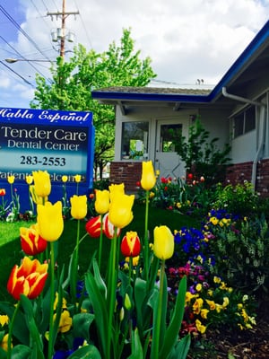 North Portland Tendercare Dental 5610 N Lombard St Portland Or Dentists Mapquest