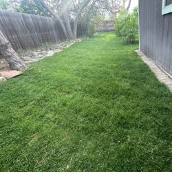 Shotwell Lawn Care