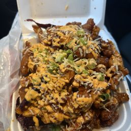 Spicy Orange Chicken Fries