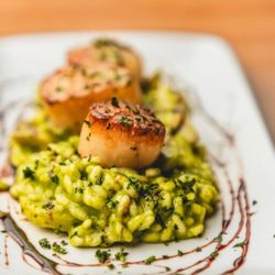 Clearwater Restaurant - Golden sear. Creamy greens. Every forkful a little love letter from the coast.
#TopRestaurantsInNewportOregon #FreshSeafoodNewportOregon