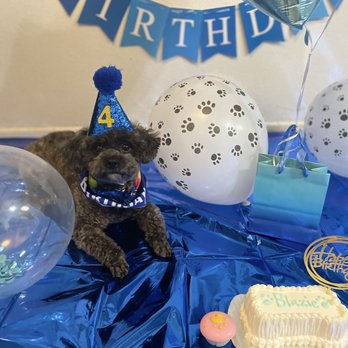 Redondo Dog - Pet Services Near Me - Carson, California Redondo Dog - Pet Services Near Me - Carson, California