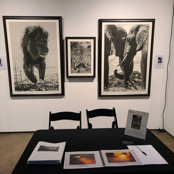 Artemis Fine Art Gallery - Art Galleries Near Me - San Diego, California Artemis Fine Art Gallery - Art Galleries Near Me - San Diego, California