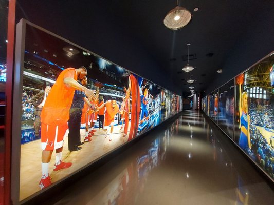 The College Basketball Experience by null
