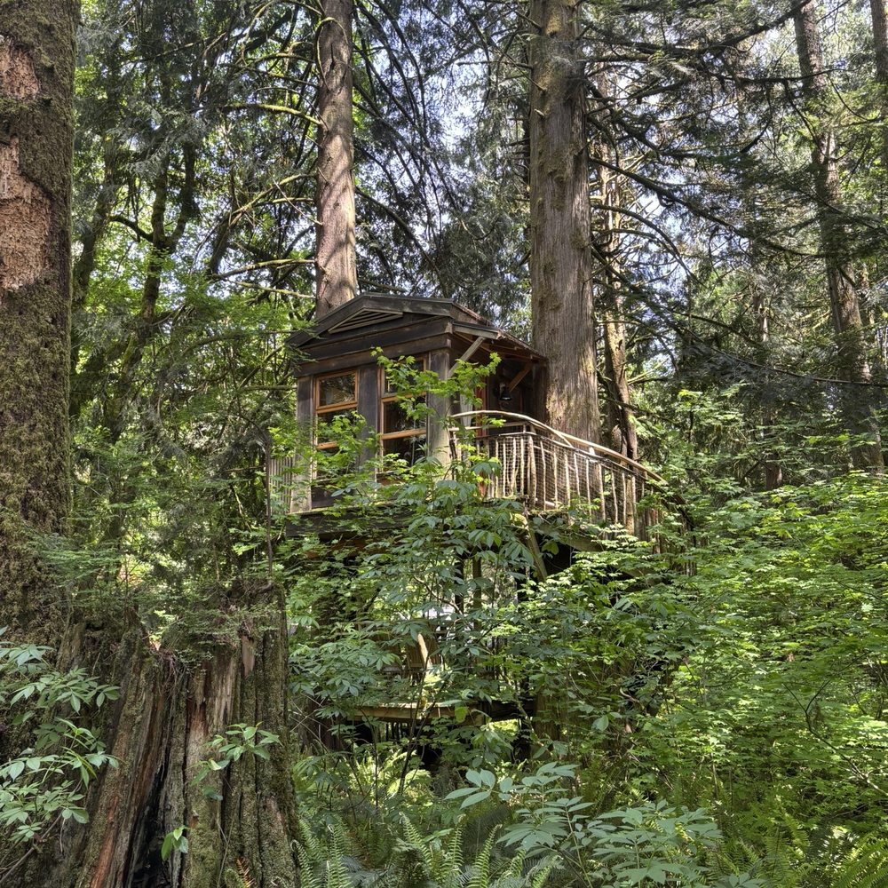 TreeHouse Point - Bed & Breakfast Near Me - Issaquah, Washington TreeHouse Point - Bed & Breakfast Near Me - Issaquah, Washington