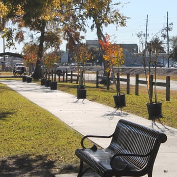 Bayou Tree Service - Tree Services Near Me - New Orleans, Louisiana Bayou Tree Service - Tree Services Near Me - New Orleans, Louisiana