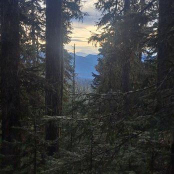 Eagle Peak Trail - Hiking Near Me - Ashford, Washington