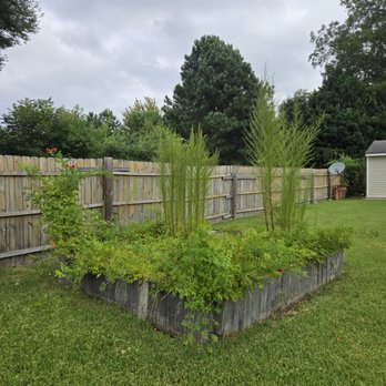 Serenity Lawn Services - Lawn Services Near Me - Virginia Beach, Virginia Serenity Lawn Services - Lawn Services Near Me - Virginia Beach, Virginia