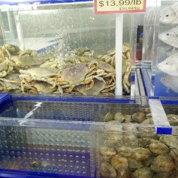 Kim Phat - Fresh Seafood Tanks - International Grocery Near Me - Montreal, Quebec Kim Phat - Fresh Seafood Tanks - International Grocery Near Me - Montreal, Quebec