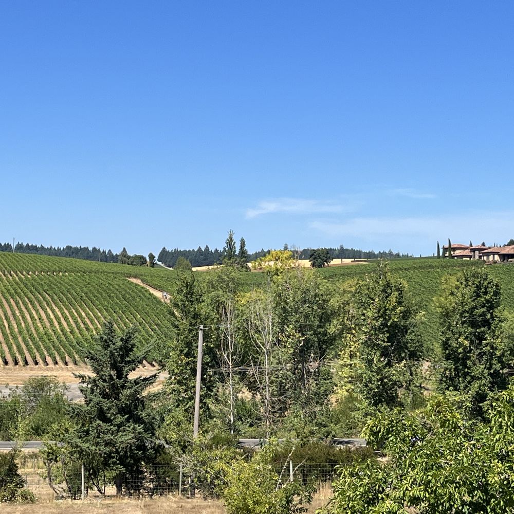 Dominio IV Wines - Wineries Near Me - Carlton, Oregon Dominio IV Wines - Wineries Near Me - Carlton, Oregon