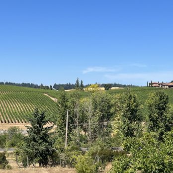 Dominio IV Wines - Wineries Near Me - Carlton, Oregon Dominio IV Wines - Wineries Near Me - Carlton, Oregon