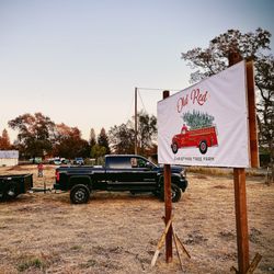 Old Red Christmas Tree Farm
