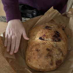 The Park Coffee & Bread - Blueberry Goat Cheese Sourdough Bread