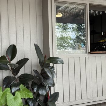 Il Giardino di Lilli - Coffee & Tea Near Me - San Diego, California Il Giardino di Lilli - Coffee & Tea Near Me - San Diego, California