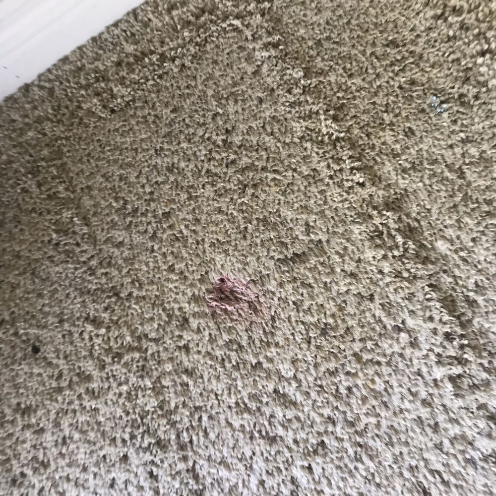 Stonecreek Apartment Homes - The red spot they claim make the entire apartments carpet worthless - Apartments Near Me - Valencia, California Stonecreek Apartment Homes - The red spot they claim make the entire apartments carpet worthless - Apartments Near Me - Valencia, California