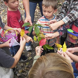 River Forest Park District Park - Lots of educational programs for kids of all ages