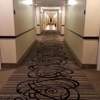 Best Western Wesley Chapel - Hotels Near Me - Wesley Chapel, Florida