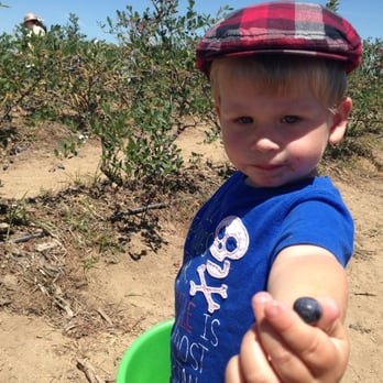 Jessop Farms - Look mom! - Farmers Market Near Me - Ripon, California Jessop Farms - Look mom! - Farmers Market Near Me - Ripon, California