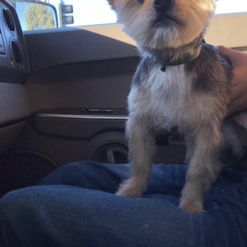 Tony's Pet Grooming - Pet Stores Near Me - Santa Ana, California