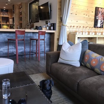 Woody Creek Distillers - My pup enjoying the comfy space. - Distilleries Near Me - Basalt, Colorado Woody Creek Distillers - My pup enjoying the comfy space. - Distilleries Near Me - Basalt, Colorado