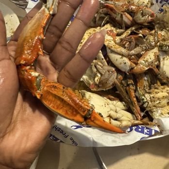 Pinchers - BLUE CRAB CLUSTERS - Seafood Near Me - Wesley Chapel, Florida Pinchers - BLUE CRAB CLUSTERS - Seafood Near Me - Wesley Chapel, Florida