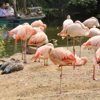 Erlebnis-Zoo Hannover - Zoos Near Me - Hanover, NI