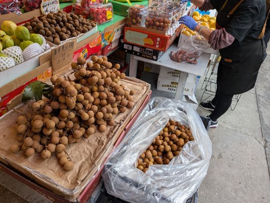 Fruitful Dreams by null