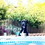 Photo of Central Pet Tucson