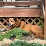 Photo of Sedona Animal Clinic
