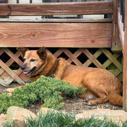 Sedona Animal Clinic