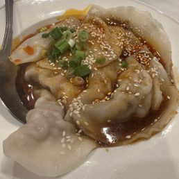 Chili Oil Dumplings