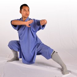 Kung Fu Universal