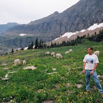 Hidden Lake Trail - This is me with a few Mountain Goats behind me.  This area is just beyond the boardwalk part of Hidden Lake Trail. - -Tom Brody - Hiking Near Me - Browning, Montana