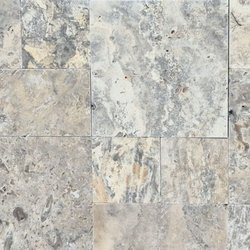 Cholla Tile
