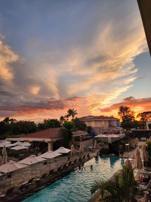 Maui Coast Hotel by null