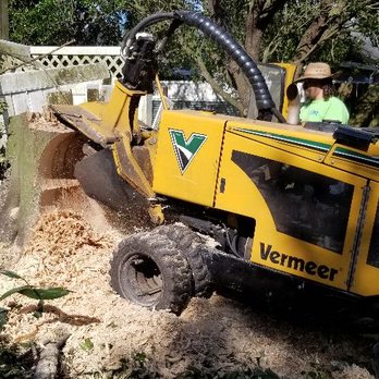 HANK'S STUMP GRINDING - Updated May 2026 - 18 Photos & 12 Reviews