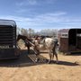 Photo of Taos Indian Horse Ranch