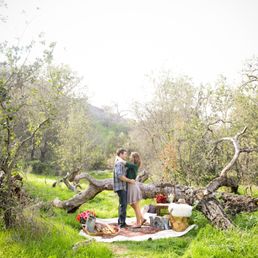 My favorite engagement photo. My favorite engagement photo.