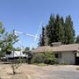 Photo of Califa Tree Care