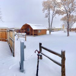 Grand Junction KOA Holiday