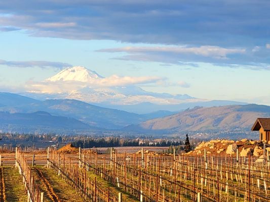 Stave & Stone Winery by null