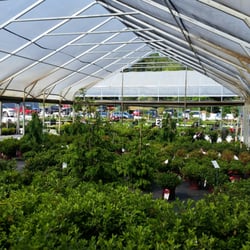 Head-Lee Nursery