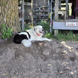Kurtz Corral Riding Stable