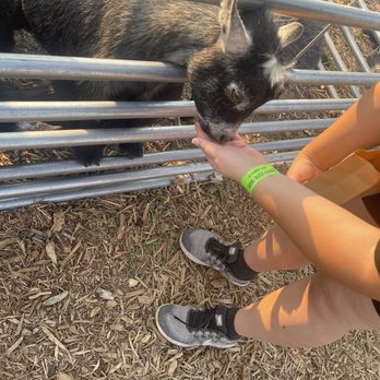 Lowe Family Farmstead - Festivals Near Me - Kuna, Idaho Lowe Family Farmstead - Festivals Near Me - Kuna, Idaho