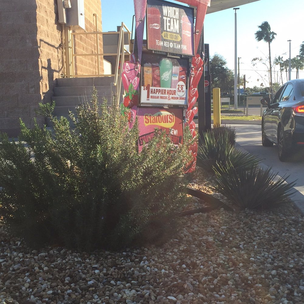 Drive through view- nice rosemary bush Drive through view- nice rosemary bush