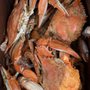 Evan’s Crab & Seafood