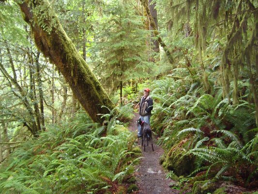 Ravenel Fresh Seafood by null