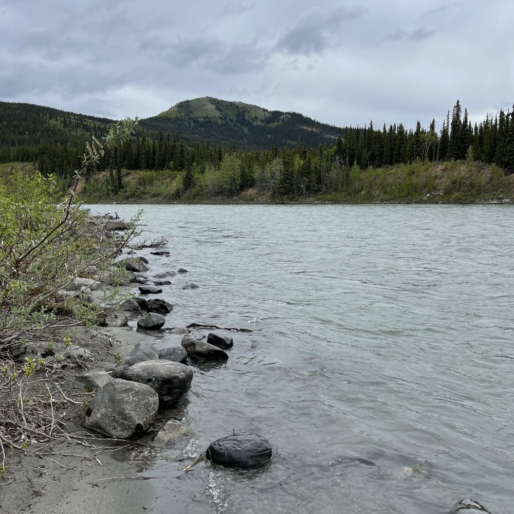 Denali Park Village - Just in the hotel backyard.... So peaceful! - Resorts Near Me - Denali, Alaska Denali Park Village - Just in the hotel backyard.... So peaceful! - Resorts Near Me - Denali, Alaska